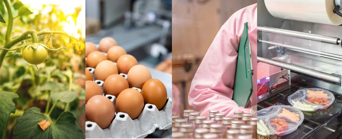 Fresh produce, food preparation, eggs and packaged ready meals